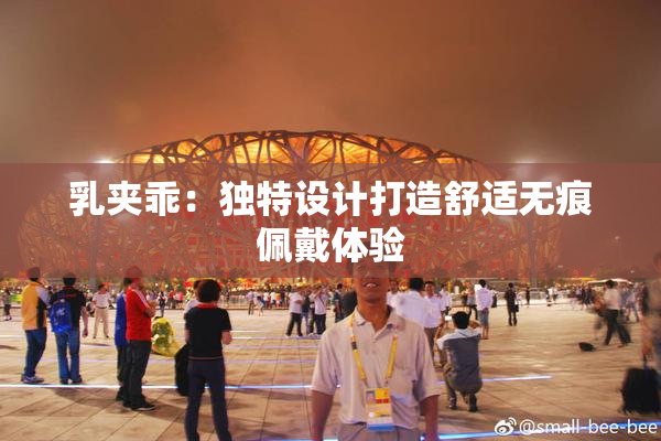 乳夹乖：独特设计打造舒适无痕佩戴体验