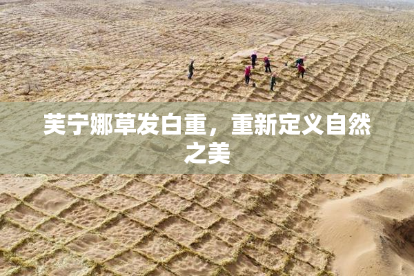 芙宁娜草发白重，重新定义自然之美