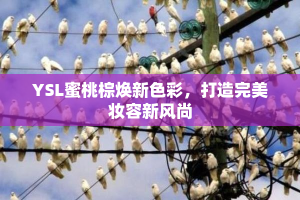 YSL蜜桃棕焕新色彩，打造完美妆容新风尚