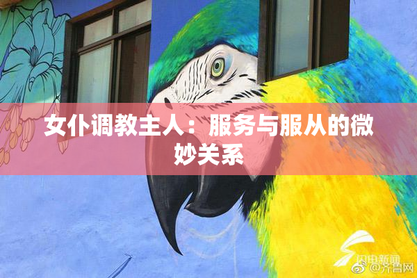女仆调教主人：服务与服从的微妙关系