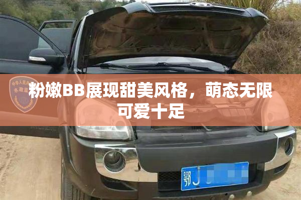 粉嫩BB展现甜美风格，萌态无限可爱十足