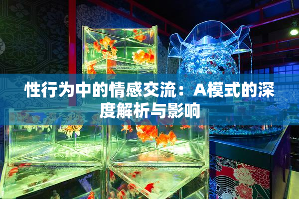 性行为中的情感交流：A模式的深度解析与影响