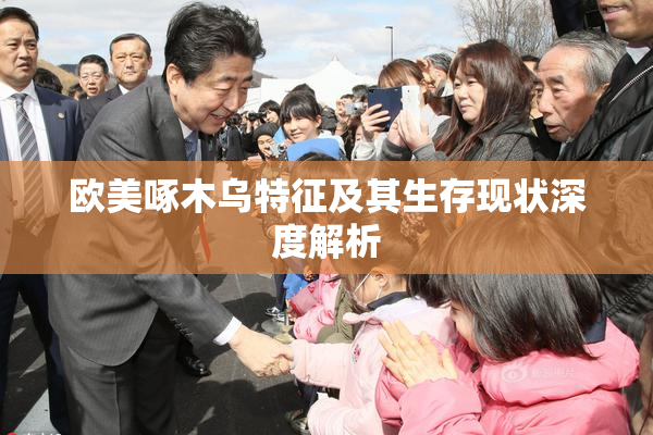 欧美啄木乌特征及其生存现状深度解析