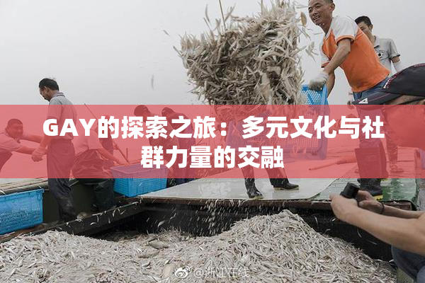 GAY的探索之旅：多元文化与社群力量的交融