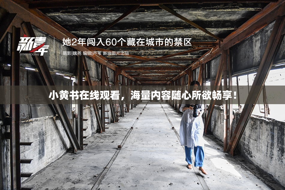 小黄书在线观看，海量内容随心所欲畅享！