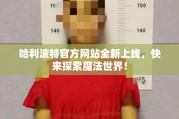 哈利波特官方网站全新上线，快来探索魔法世界！