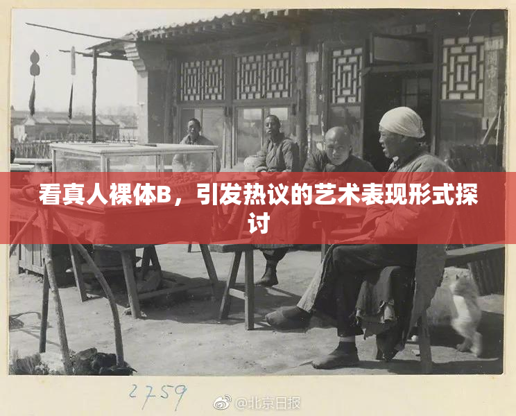 看真人裸体B，引发热议的艺术表现形式探讨