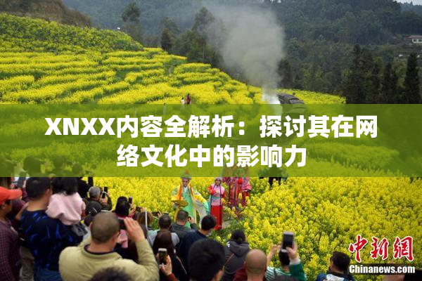 XNXX内容全解析：探讨其在网络文化中的影响力