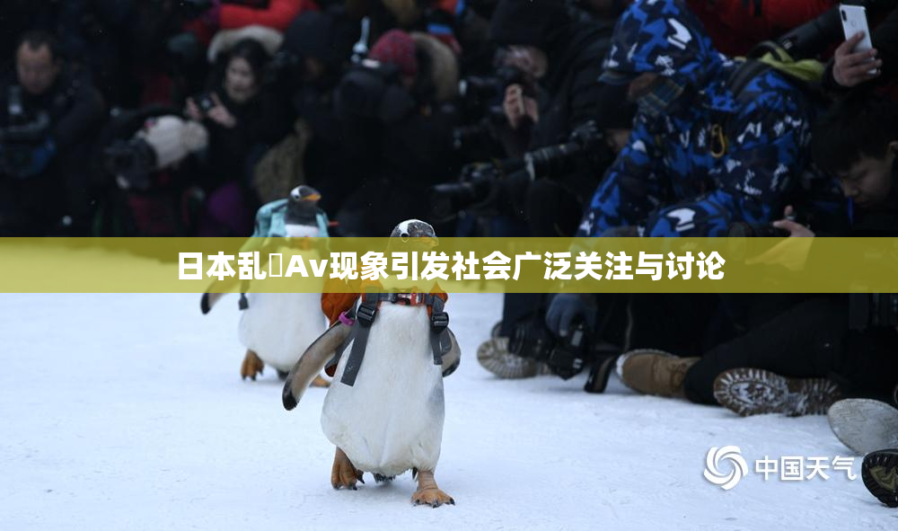 日本乱婬Av现象引发社会广泛关注与讨论