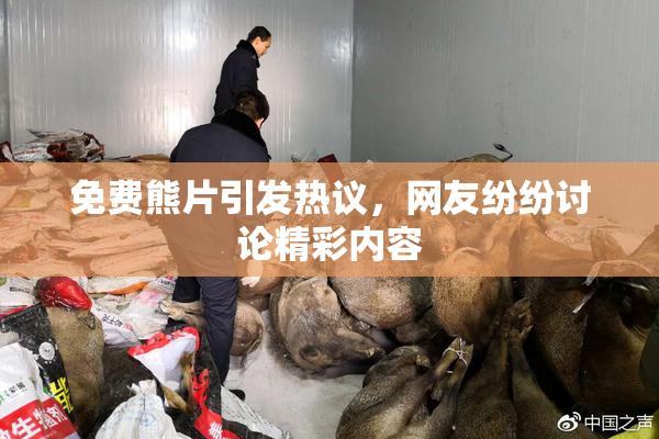 免费熊片引发热议，网友纷纷讨论精彩内容