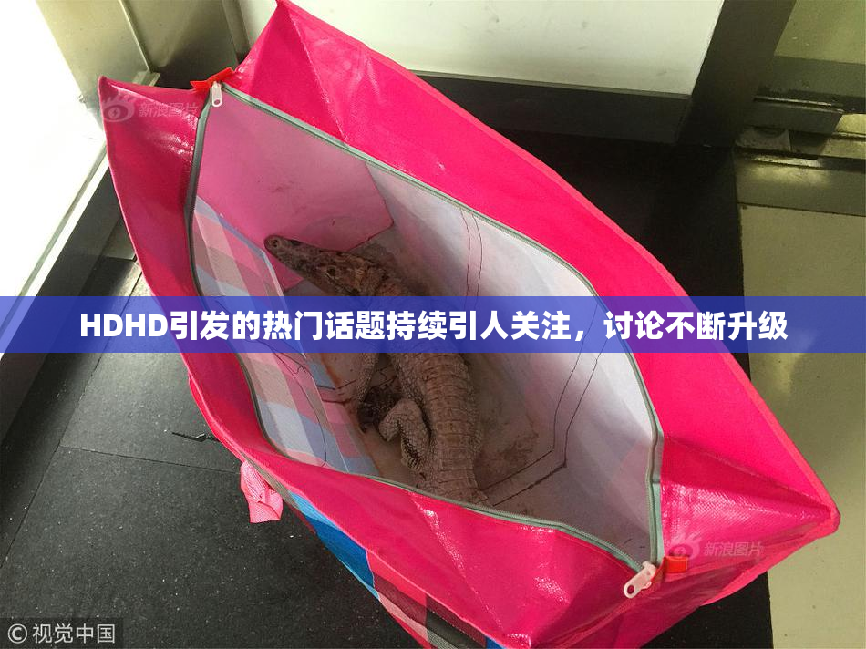 HDHD引发的热门话题持续引人关注，讨论不断升级
