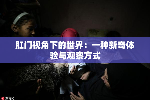 肛门视角下的世界：一种新奇体验与观察方式
