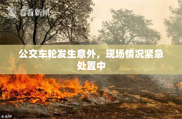 公交车轮发生意外，现场情况紧急处置中