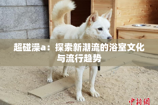 超碰澡a：探索新潮流的浴室文化与流行趋势