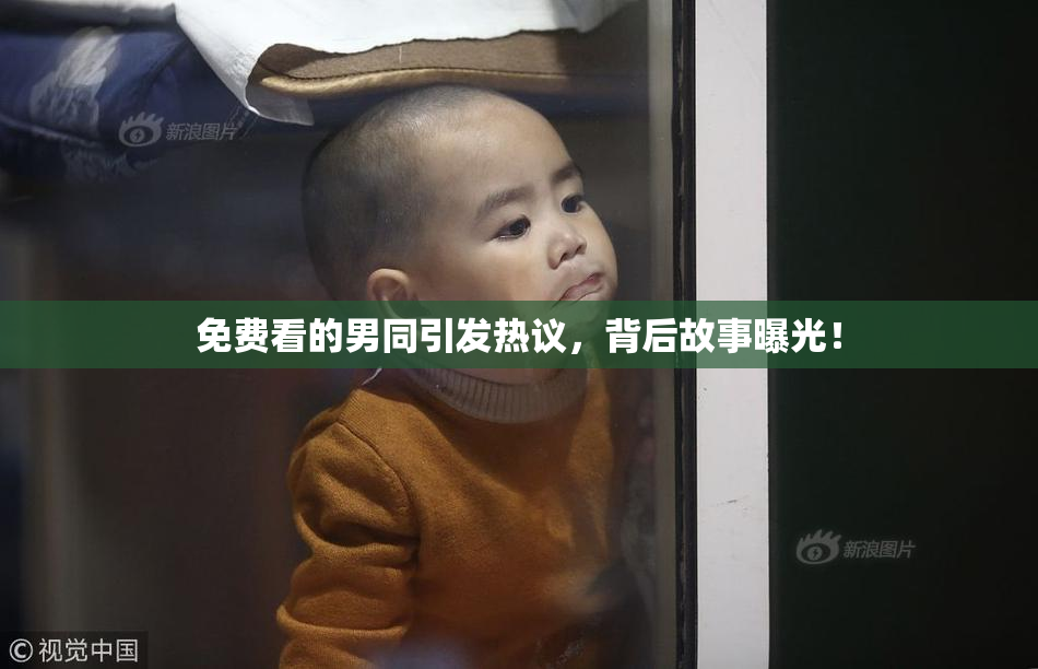 免费看的男同引发热议，背后故事曝光！