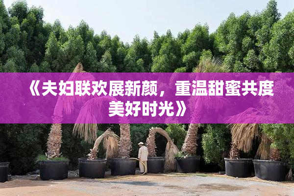 《夫妇联欢展新颜，重温甜蜜共度美好时光》