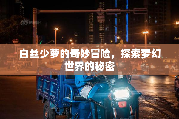 白丝少萝的奇妙冒险，探索梦幻世界的秘密