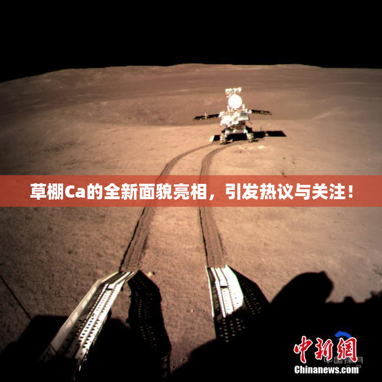 草棚Ca的全新面貌亮相，引发热议与关注！