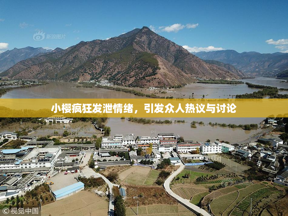 小樱疯狂发泄情绪，引发众人热议与讨论