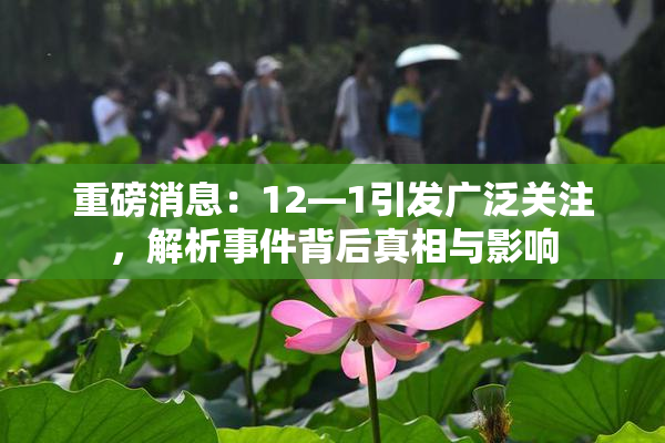 重磅消息：12—1引发广泛关注，解析事件背后真相与影响