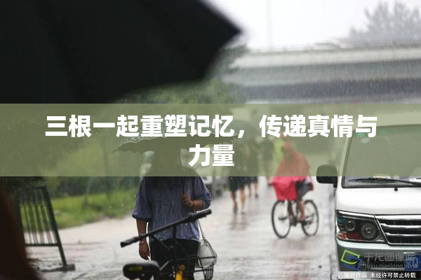 三根一起重塑记忆，传递真情与力量