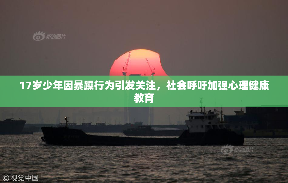 17岁少年因暴躁行为引发关注，社会呼吁加强心理健康教育