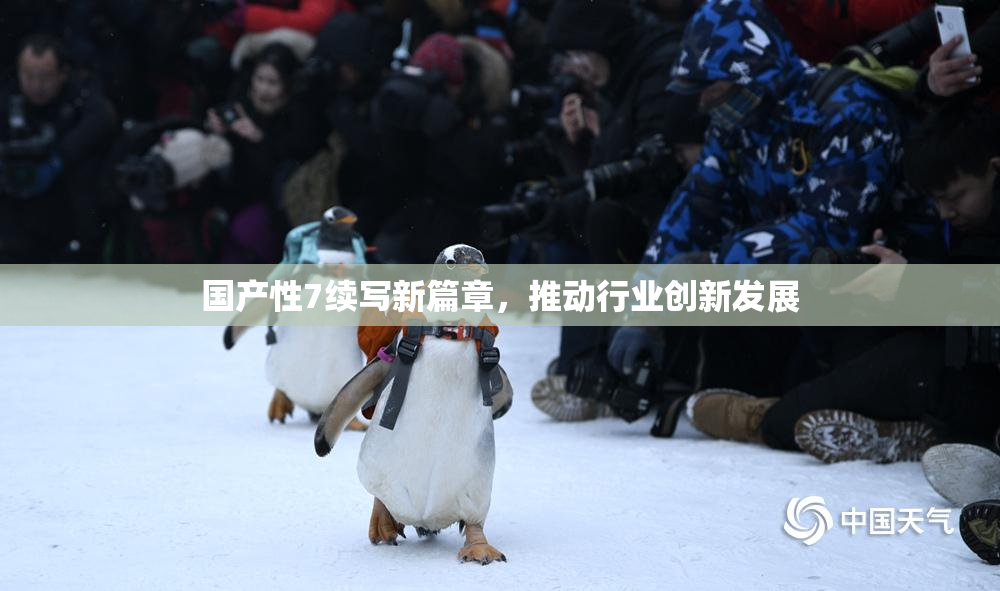 国产性7续写新篇章，推动行业创新发展