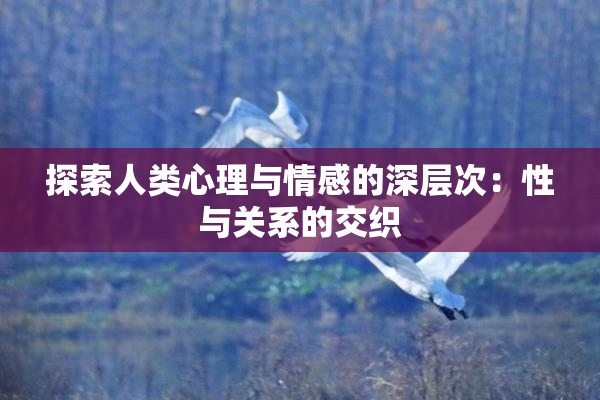探索人类心理与情感的深层次：性与关系的交织