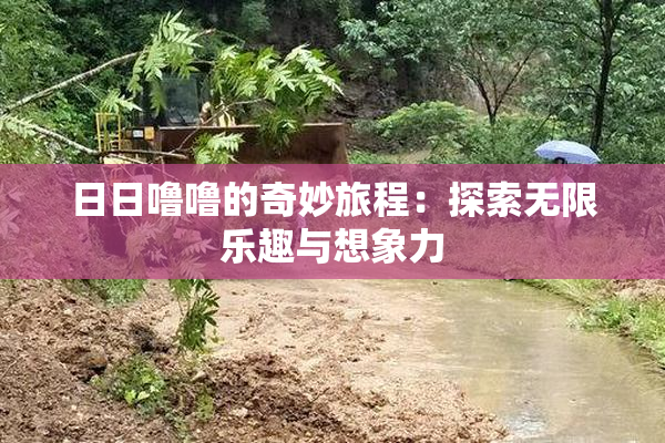 日日噜噜的奇妙旅程：探索无限乐趣与想象力