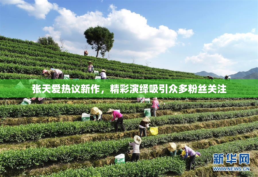 张天爱热议新作，精彩演绎吸引众多粉丝关注