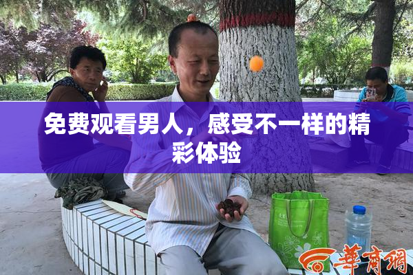 免费观看男人，感受不一样的精彩体验