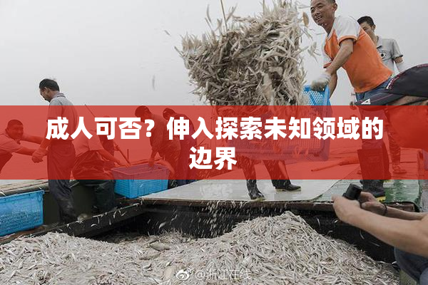 成人可否？伸入探索未知领域的边界