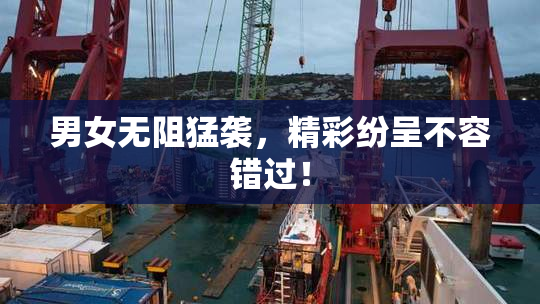 男女无阻猛袭，精彩纷呈不容错过！