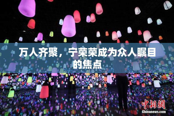 万人齐聚，宁荣荣成为众人瞩目的焦点
