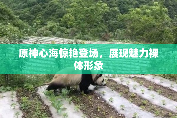 原神心海惊艳登场，展现魅力裸体形象