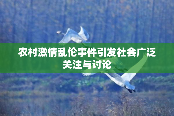 农村激情乱伦事件引发社会广泛关注与讨论