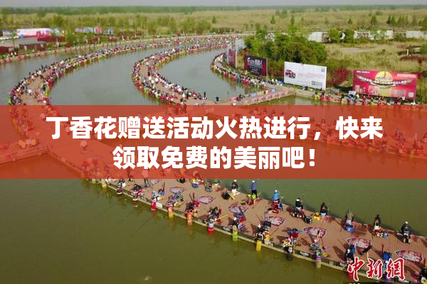 丁香花赠送活动火热进行，快来领取免费的美丽吧！