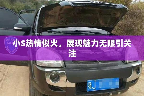 小S热情似火，展现魅力无限引关注