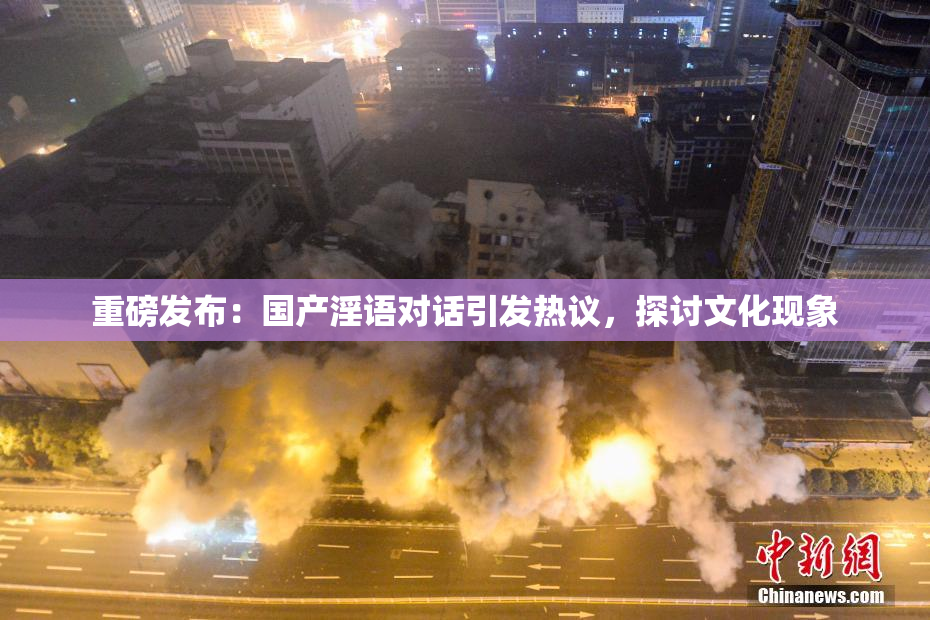 重磅发布：国产淫语对话引发热议，探讨文化现象
