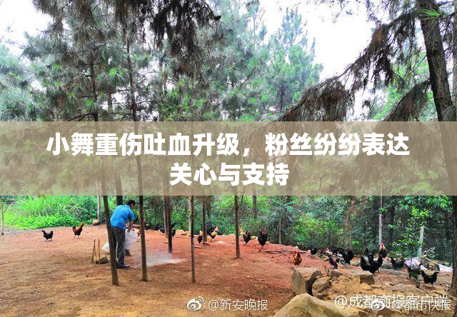 小舞重伤吐血升级，粉丝纷纷表达关心与支持