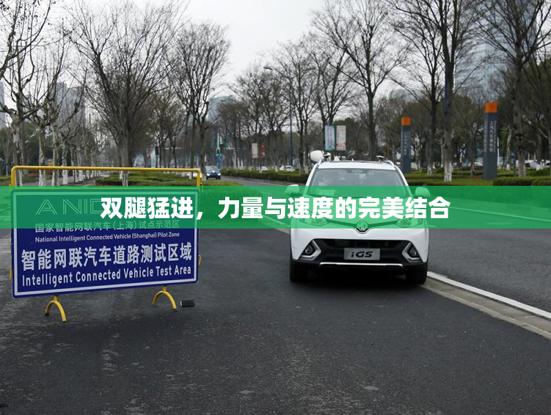 双腿猛进，力量与速度的完美结合