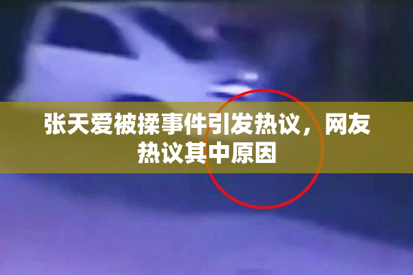 张天爱被揉事件引发热议，网友热议其中原因
