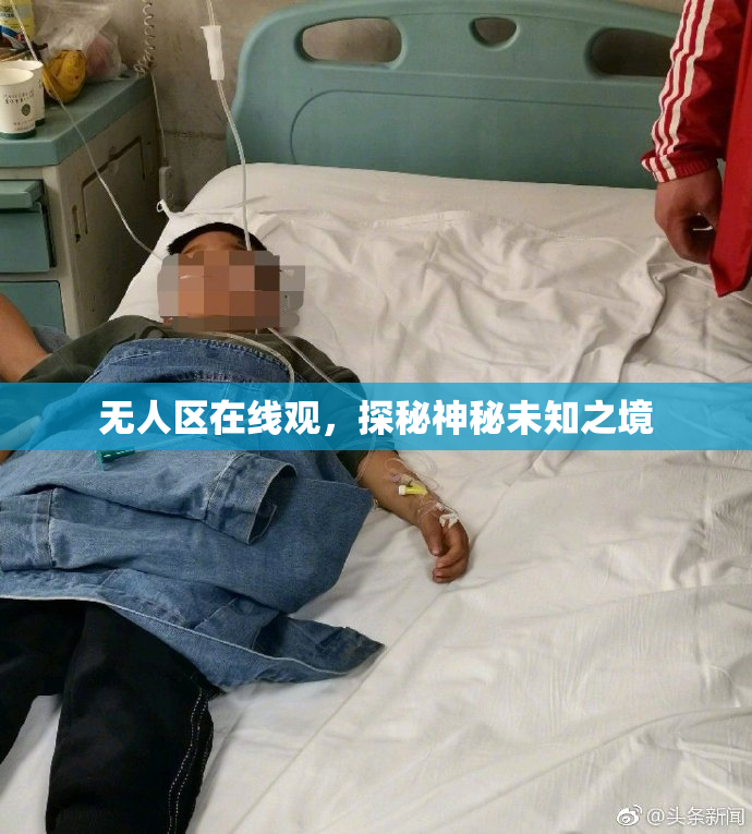 无人区在线观，探秘神秘未知之境