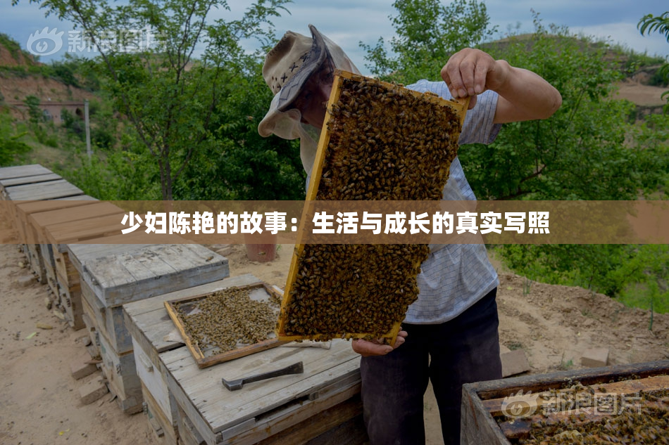 少妇陈艳的故事：生活与成长的真实写照