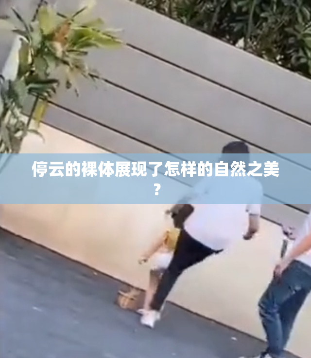 停云的裸体展现了怎样的自然之美？