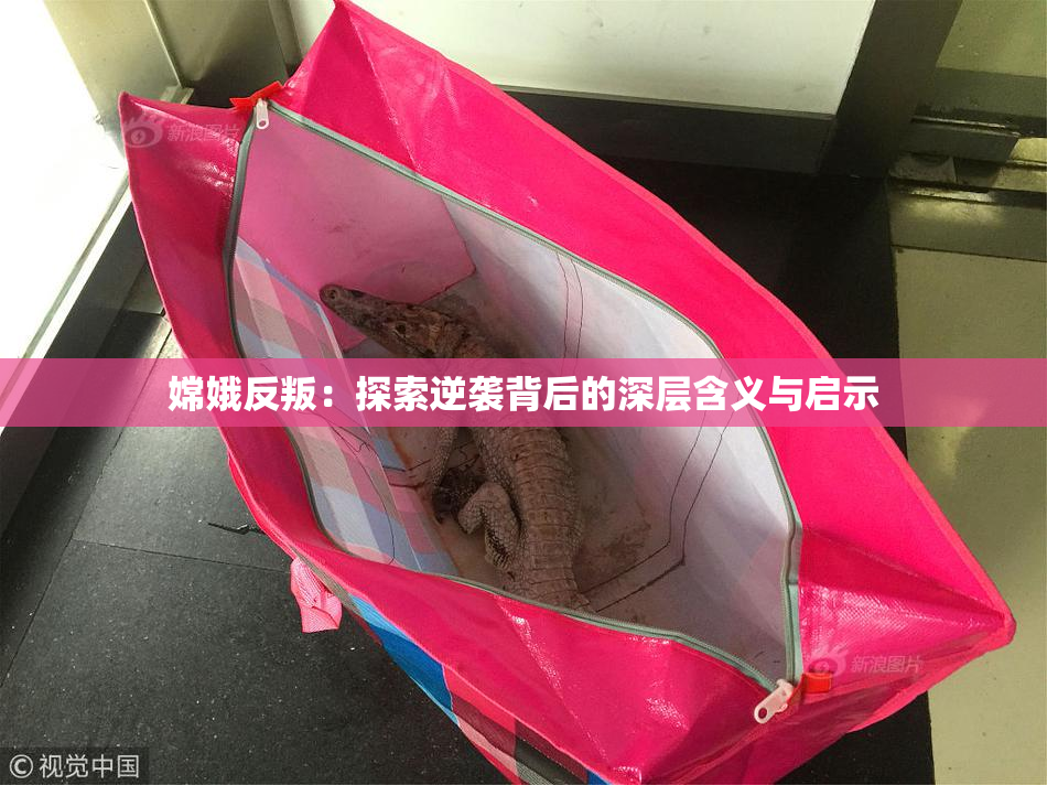嫦娥反叛：探索逆袭背后的深层含义与启示