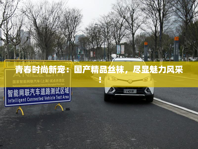 青春时尚新宠：国产精品丝袜，尽显魅力风采！