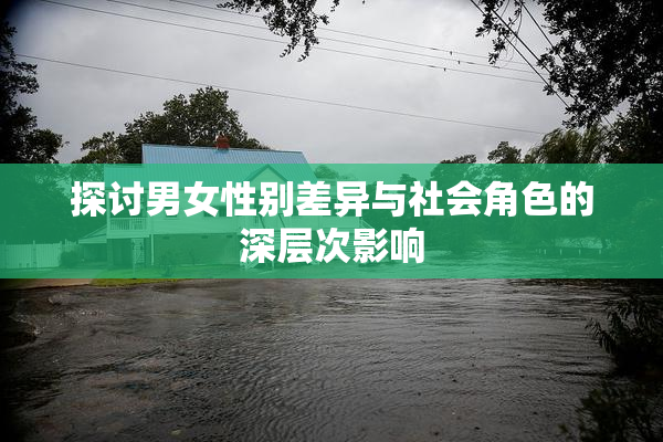 探讨男女性别差异与社会角色的深层次影响