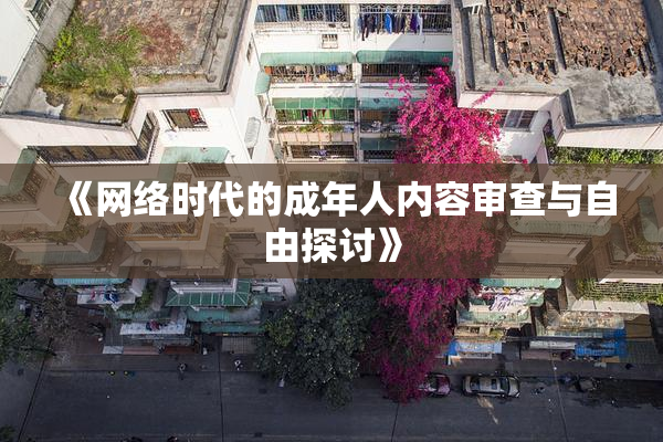 《网络时代的成年人内容审查与自由探讨》