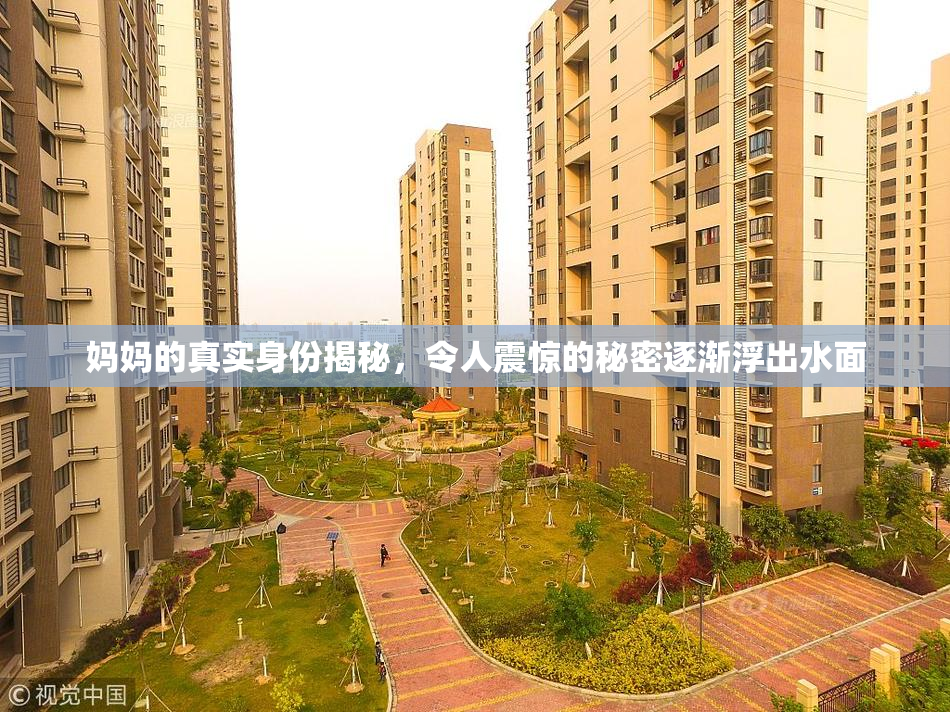 妈妈的真实身份揭秘，令人震惊的秘密逐渐浮出水面